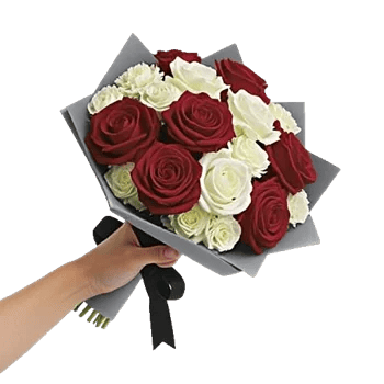 Crimson Rose Elegance