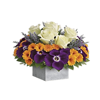 Petal Radiance Bliss