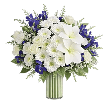 Ivory Blossom Radiance