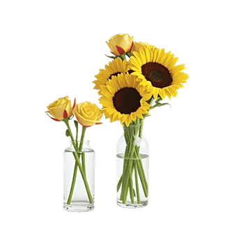 Radiant Bloom Cascade