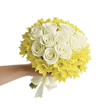 Blushing Rose Symphony