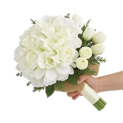 Ivory Blossom Radiance