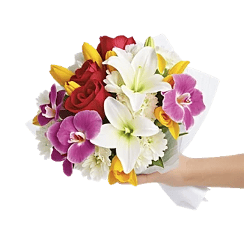 Minimalist White Orchids