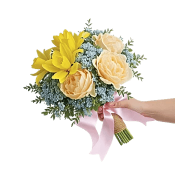 Soft Sunlight Blooms