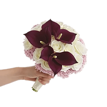 Elegant Calla Lilies