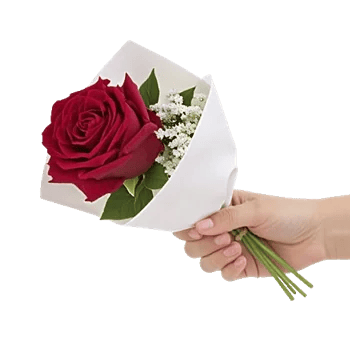 Crimson Rose Elegance