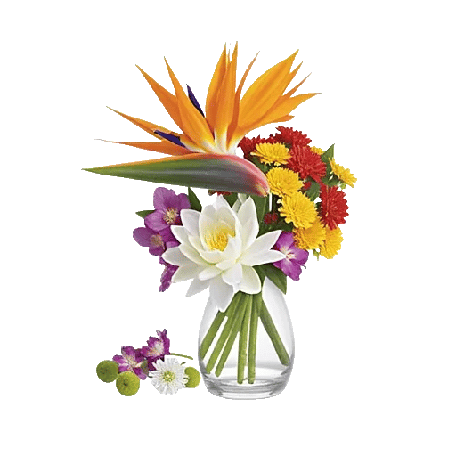 Petal Radiance Bliss