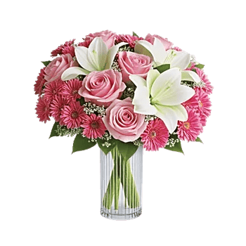 Pink Pastel Roses