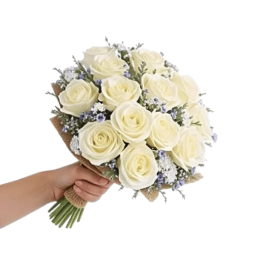Ivory Garden Grace