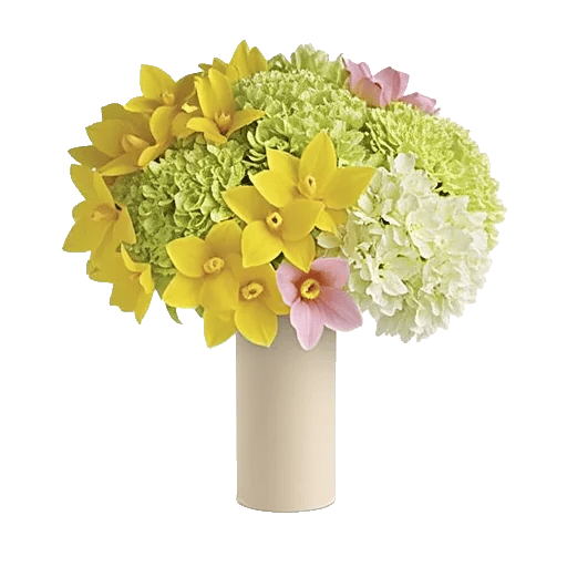 Orchid Bloom Cascade