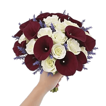 Elegant Calla Lilies