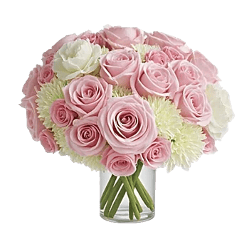 Pink Pastel Roses