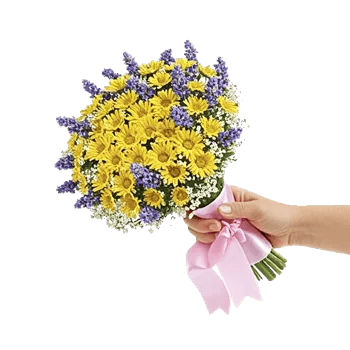 Blossom Radiant Whisper