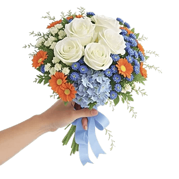 Serene Petal Harmony