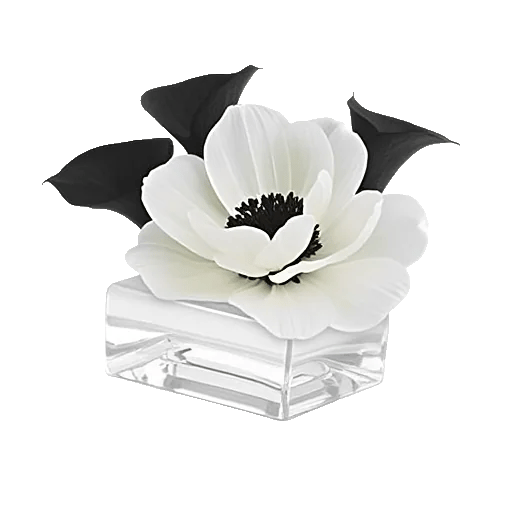 Elegant Calla Lilies