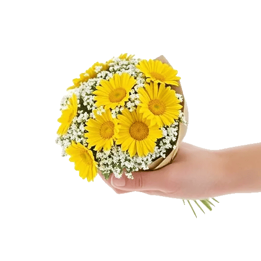 Enchanting Daisy Garden