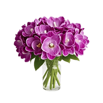 Orchid Bloom Cascade