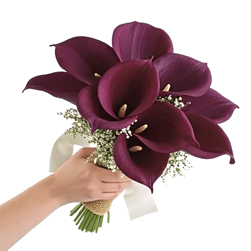 Elegant Calla Lilies