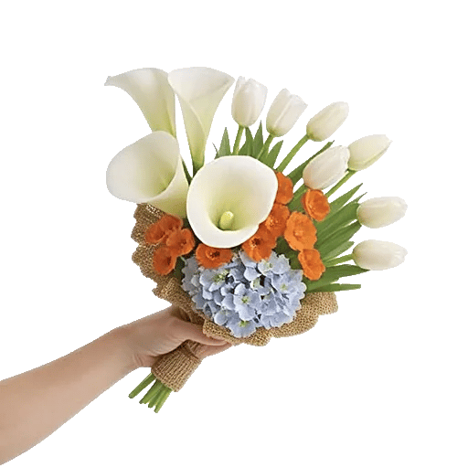 Elegant Calla Lilies