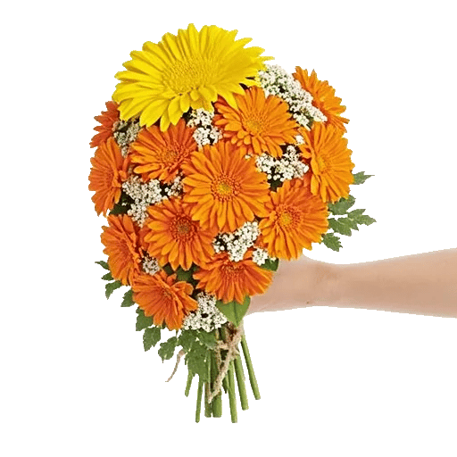 Delicate Petal Cascade