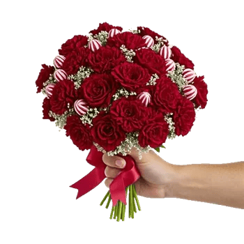 Crimson Rose Elegance