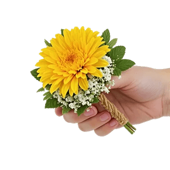 Blossom Harmony Display