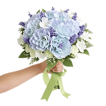 Serene Petal Harmony