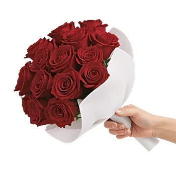 Crimson Rose Elegance