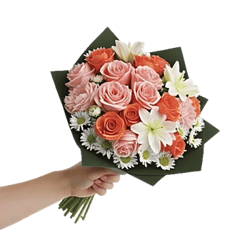 Pastel Pink Roses