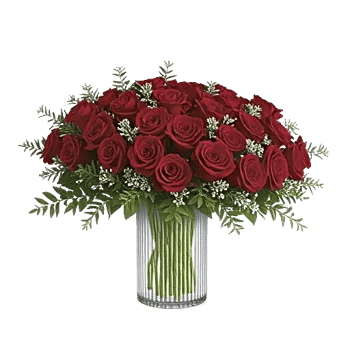 Crimson Rose Elegance