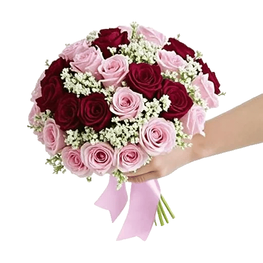 Blushing Rose Symphony