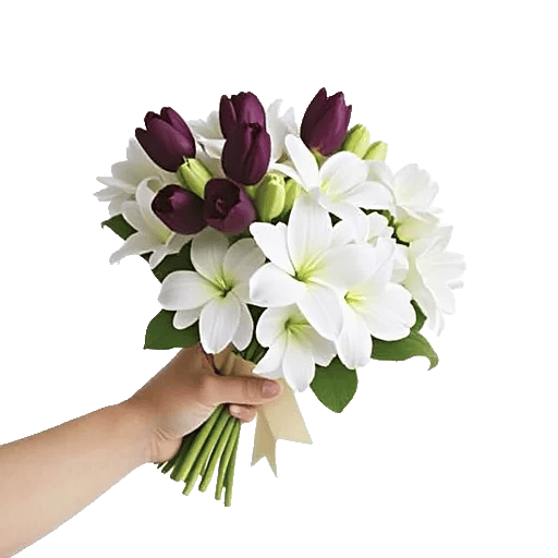 Ivory Garden Grace