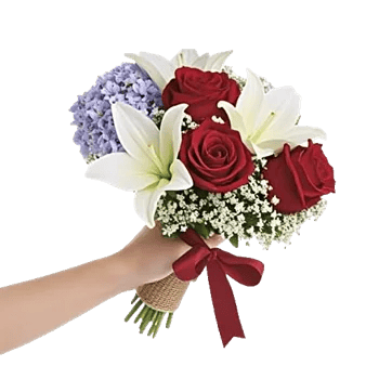 Blossom Petal Serenity