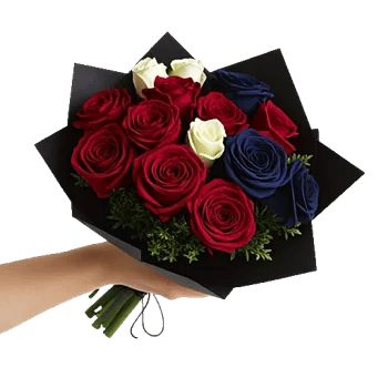 Crimson Rose Elegance