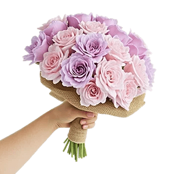Petal Softness Display
