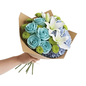 Serene Petal Harmony