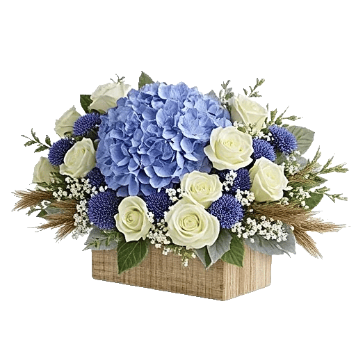 Serene Petal Harmony