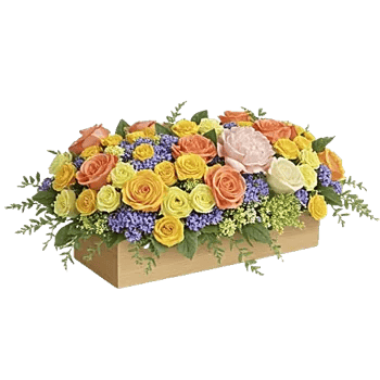 Delicate Petal Cascade