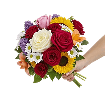 Delicate Petal Cascade