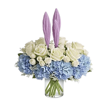 Serene Petal Harmony