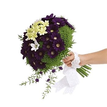 Rosemary Bloom Elegance