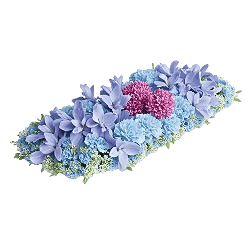 Sapphire Bloom Whisper