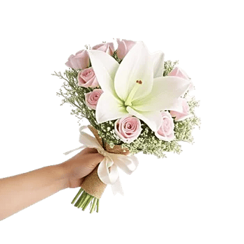 Blossom Harmony Display