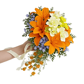 Delicate Petal Cascade