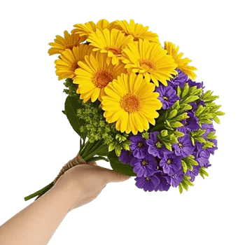 Petal Radiance Bliss