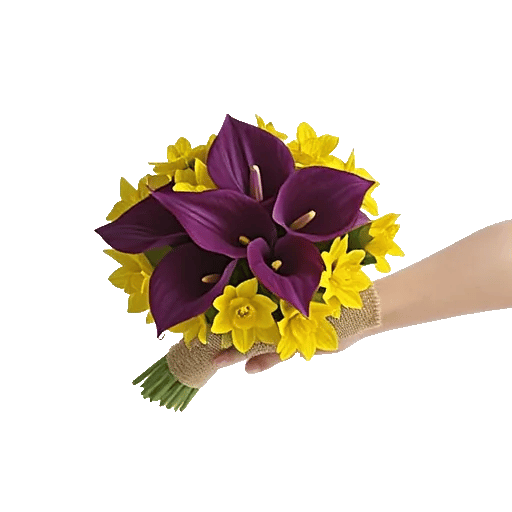 Elegant Calla Lilies