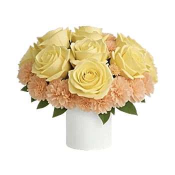 Delicate Petal Cascade