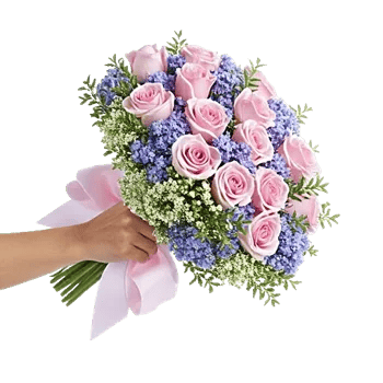 Blushing Rose Symphony