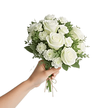 Ivory Garden Grace