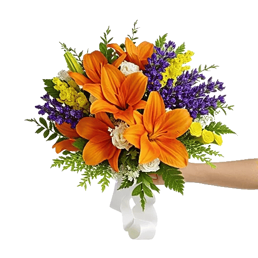 Ivory Blossom Radiance